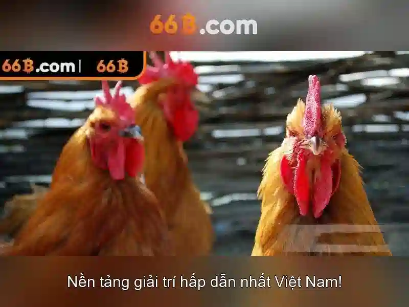 Kiến trúc và nguyên lý