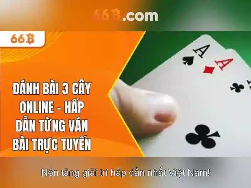 Kết luận