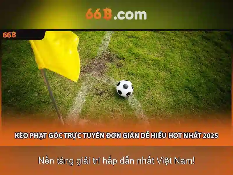 66b: Khái niệm và ứng dụng trong công nghệ và dữ liệu