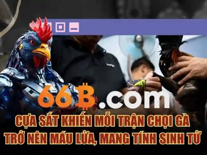 66b nguyễn sỹ sách phường 15 quận tân bình – trải nghiệm và đánh giá