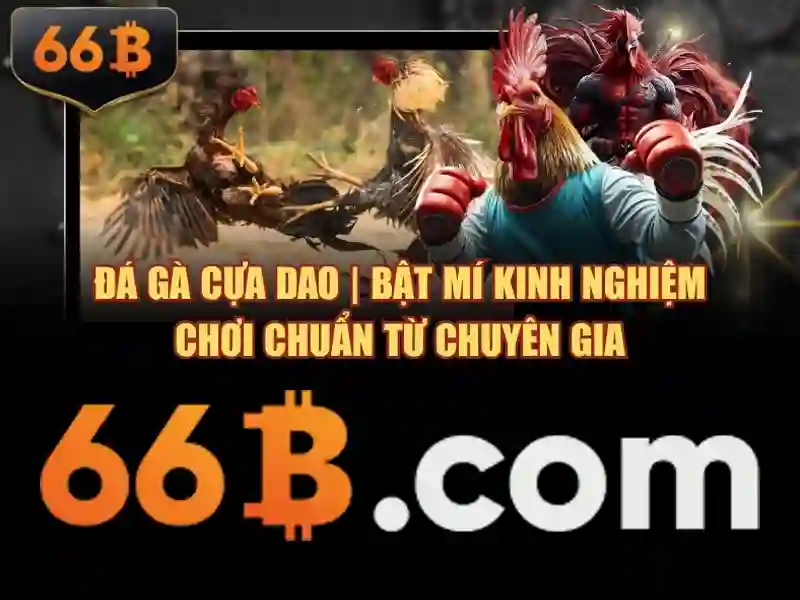 Lịch sử và nguồn gốc của 66b