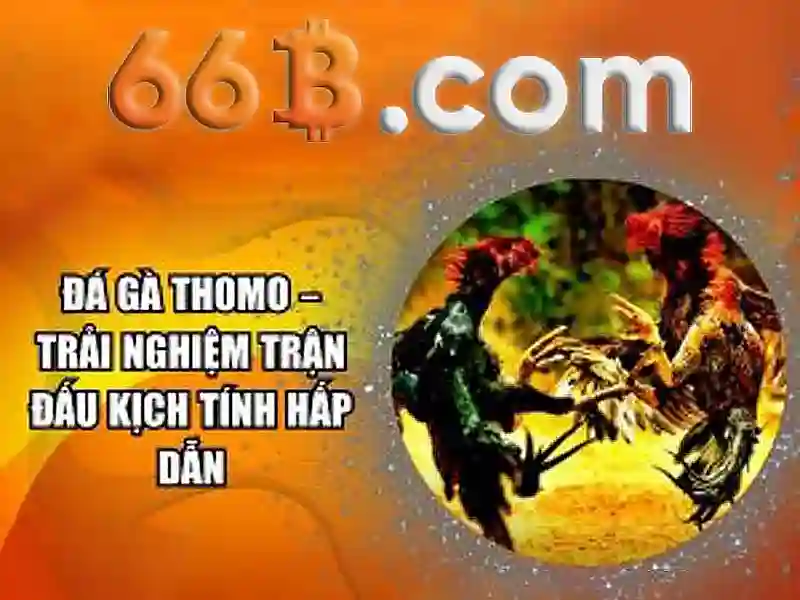66B: Phân tích về một mô hình ngôn ngữ khổng lồ 66B