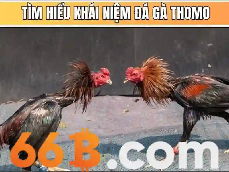 Kiến trúc và cách huấn luyện của 66B