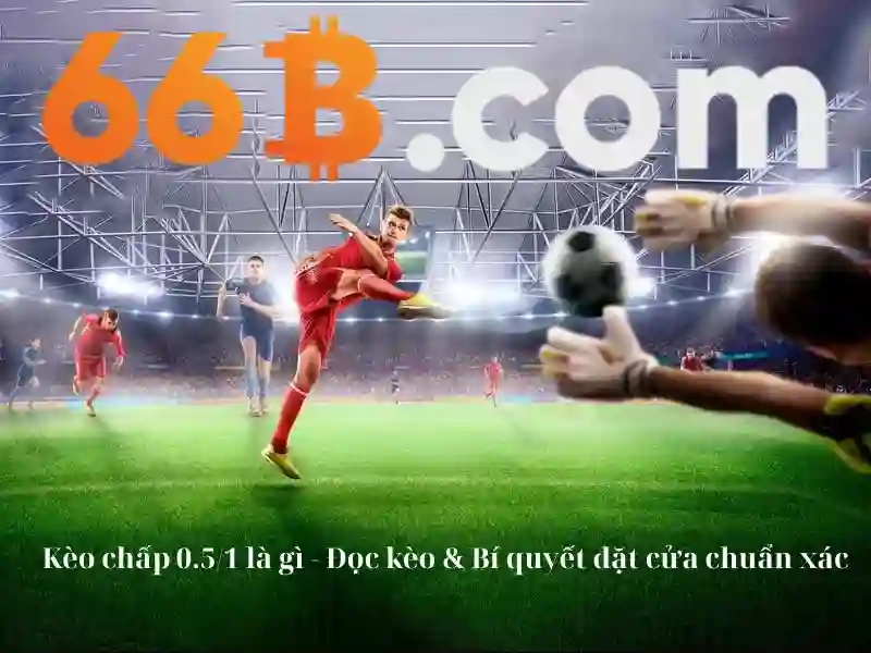 66B là gì?\n\n