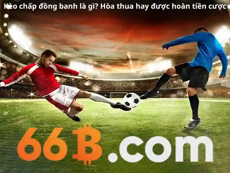 66B: một mô hình ngôn ngữ lớn 66 tỷ tham số