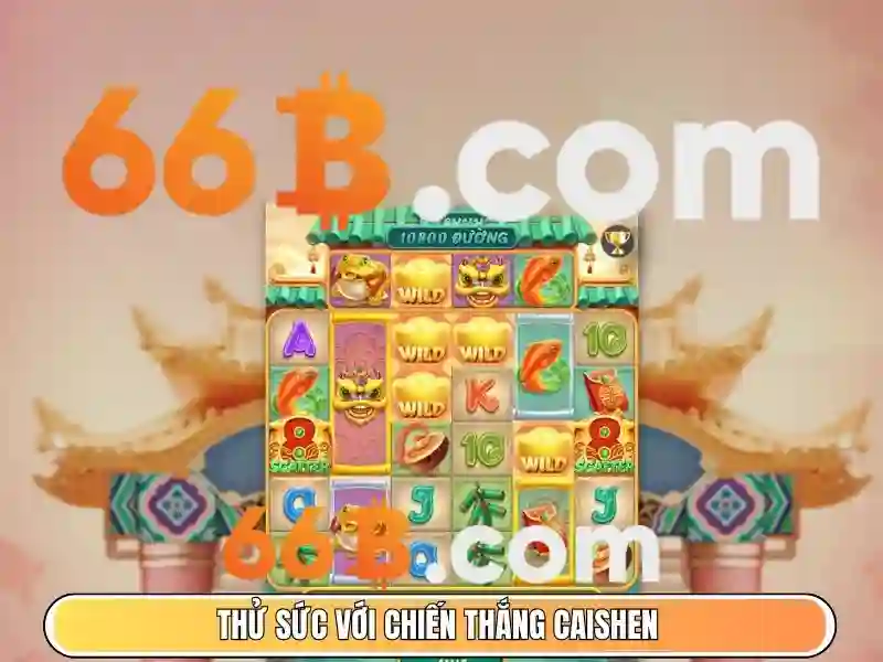 66B là gì? Khái niệm và tiềm năng
