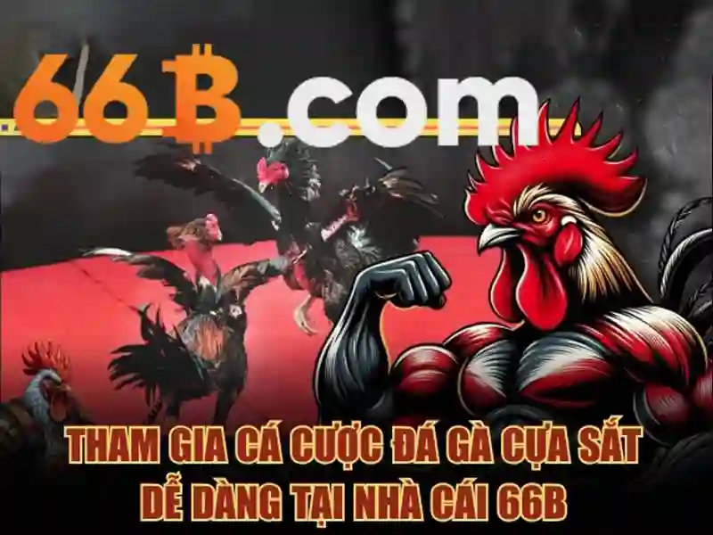 66b là gì?\n