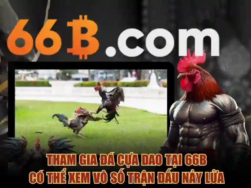 66B: Mô hình ngôn ngữ lớn và những đặc điểm nổi bật