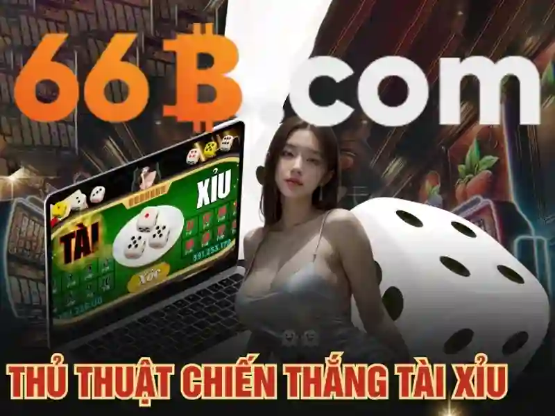 66b: khái niệm, lịch sử và ứng dụng