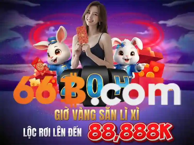 Giới thiệu về 66b\n\n