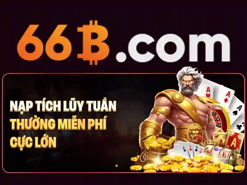 66b nguyễn sỹ sách phường 15 tân bình: hành trình và ứng dụng